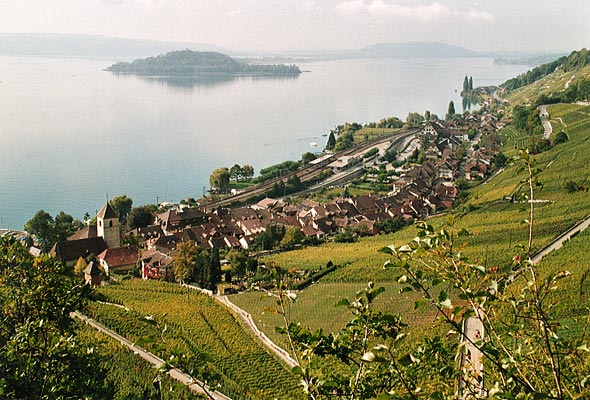 Image média: Plus d'ombre et de verdure sur les rives du lac